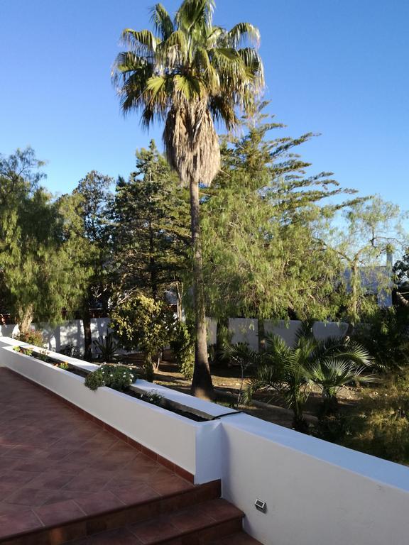 Villa Ca Daniela San Antonio  Exterior photo