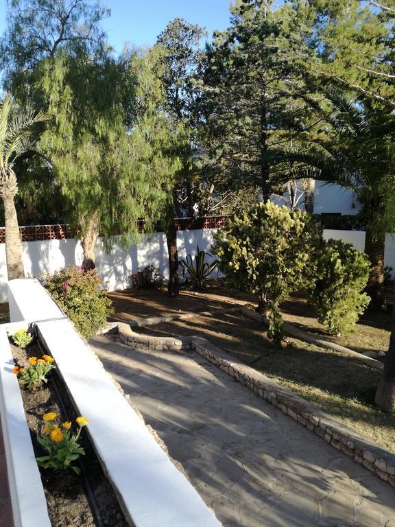 Villa Ca Daniela San Antonio  Exterior photo